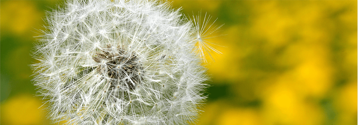 1678168256120532.png 6_03.png